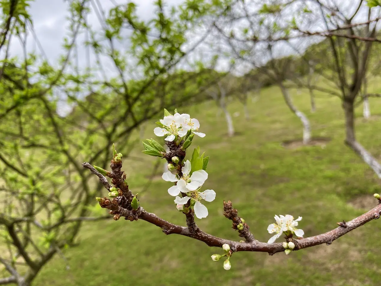 Medvirkende i Elementary